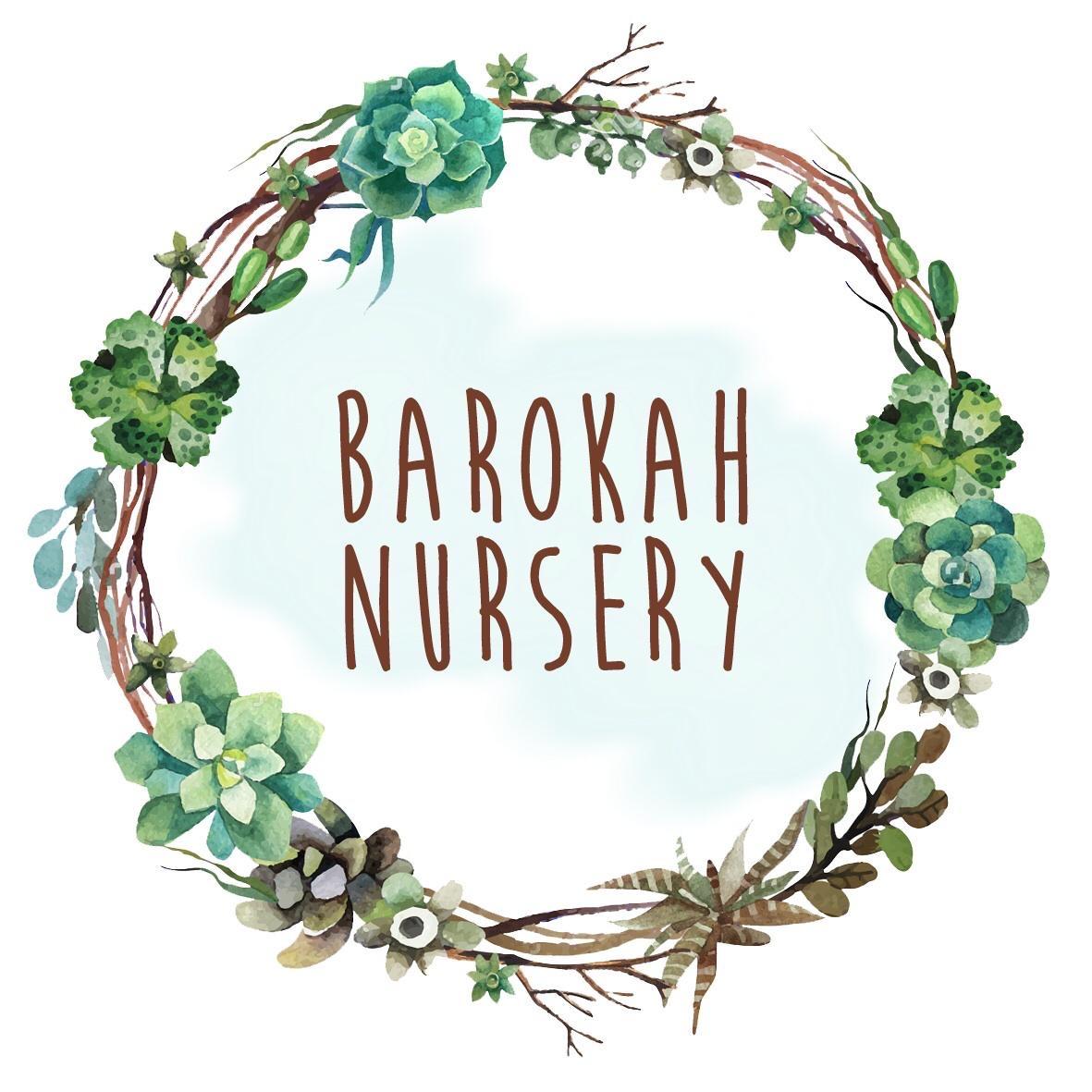 Barokah Nursery